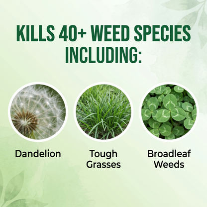 🏆𝙁𝙖𝙨𝙩 𝙧𝙚𝙨𝙪𝙡𝙩𝙨 𝙞𝙣 6 𝙝𝙤𝙪𝙧𝙨 | Healrize® 2-in-1 Max Strength Herbicide: Fast Acting Results on Glyphosate-Resistant Weed
